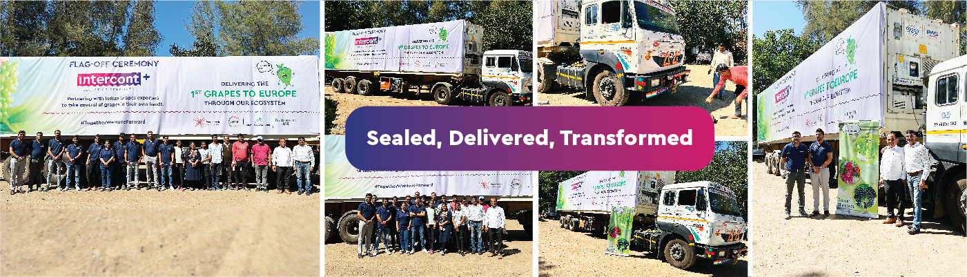 Intercont+ revolutionizes Grapes export dynamics to Europe: Empowering Indian exporters with transparency and control
